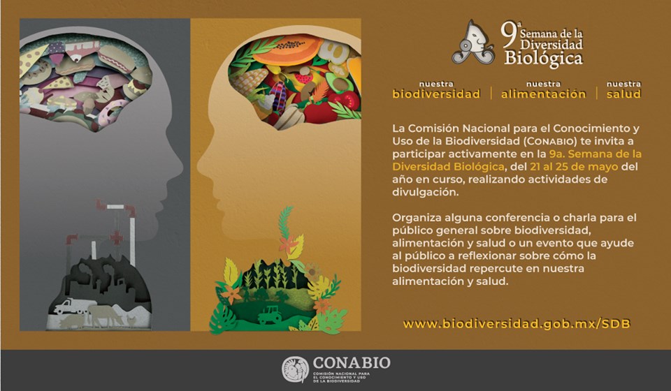 Invitación a participar en la 9a SDB CONABIO.jpg